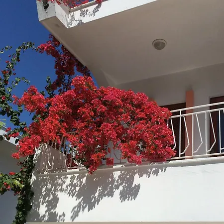 Flower Apart Курортный комплекс Кемер