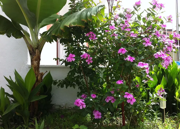 Flower *