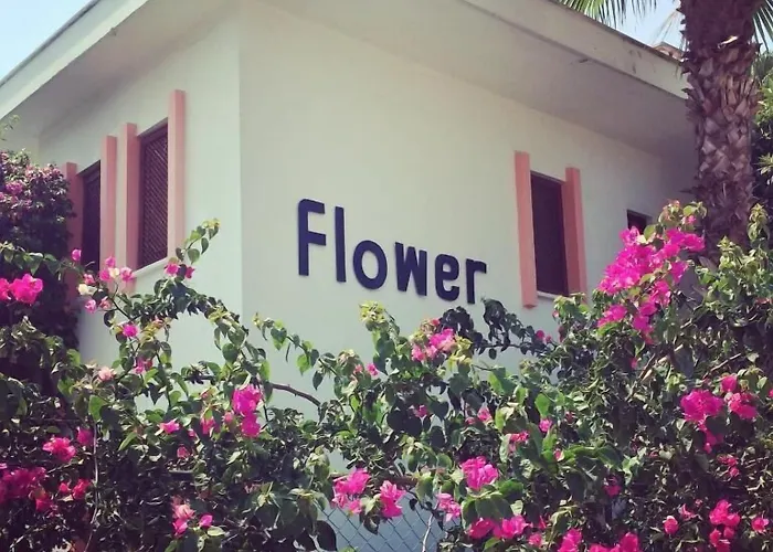 אתר נופש Flower *