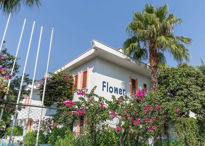 Flower * קמר