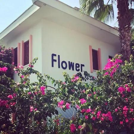 Feriested Flower *